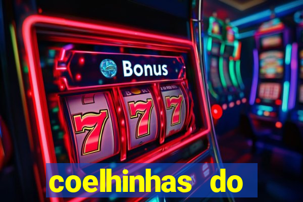 coelhinhas do brasil recife
